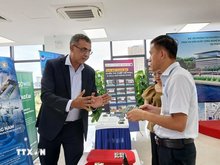 Da Nang moves to attract major semiconductor investments