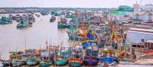 Expert commends Vietnam’s efforts in IUU fishing combat