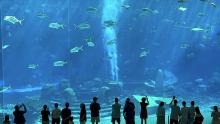 Aquarium at Atlantis Hotel, Hainan, China