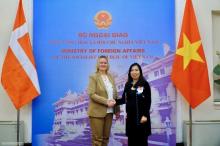 Foreign ministries of Vietnam, Denmark convene political consultation