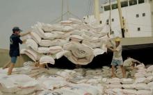 Israel has high demand for Vietnamese rice. (Photo: VNA)