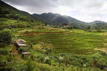 Mung hamlet: A blooming village rising as a community tourism gem