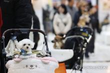 Pet owners look around the 2025 K-Pet Fair held in Seoul on March 16, 2025. (Yonhap)