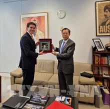 Partnership upgrade shows Vietnam-Australia long-term commitments: Official