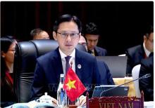 Deputy Foreign Minister Do Hung Viet, head of SOM delegation of Vietnam (Photo: VNA)