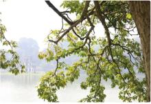 Hanoi is one of the most romantic destinations in the world in autumn. (Photo: Thomas Hoang)