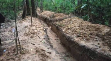 ditch