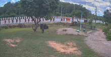 monks