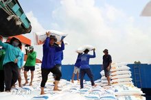 US tariff threat prompts Vietnam to map out agricultural growth scenarios