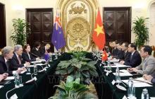 At the second Vietnam-New Zealand Foreign Ministers' Meeting in Hanoi on June 5 (Photo: VNA)