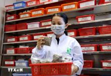 Vietnam shines at international conference on traditional and alternative medicine in Italy