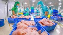 Vietnam's aquaculture exports hoped to reach 9.5 billion USD in 2024