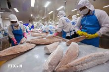 Vietnam’s aquatic exports surge toward 10 bln USD amid trade hurdles
