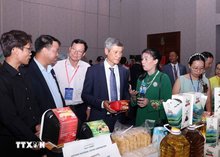 Vietnam-Cambodia business forum 2025 held in HCM City