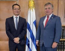 Plenty of room for Vietnam, Uruguay to boost cooperation: Uruguayan FM