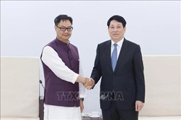 Vietnamese President receives Indian minister of parliamentary affairs, minority affairs