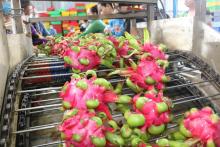 Agro-forestry-fishery sector posts trade surplus of over 12 bln USD in 2023