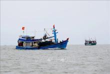 Removal of IUU fishing-related ‘yellow card’ important for fisheries sector