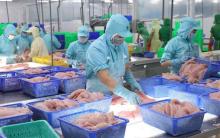 Vietnam’s aquatic product exports in January surge 60.8% year-on-year to 730 million USD (Photo: VNA)