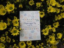 The cover of Stories of Expats in Vietnam (Photo courtesy of Green Passport, co-distributor of the book)