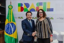 Vietnam eyes to boost science, technology cooperation with Brazil