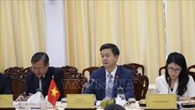 Secretary of the Party Committee of Can Tho city Le Quang Tung (C) speaks at the working session with the delegation of the Federation Council of the Federal Assembly of Russia (Photo: VNA)