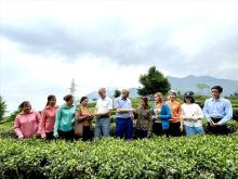 Canadian enterprises interested in Vietnamese market