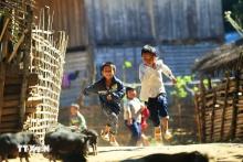 Vietnam now ranks 54th out of 166 countries in the Sustainable Development Index, advancing one position compared to 2023 (Photo: VNA)