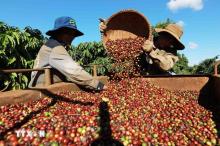 Singaporean newspaper: Vietnam’s economy poised for gradual recovery