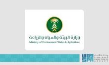 New Protocol to Boost Regional Cooperation for Sustainable Fishing in the Red Sea