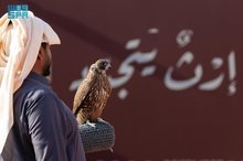King Abdulaziz Falconry Festival 2025 Starts Thursday with SAR38 Million in Prizes