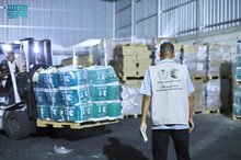 New Saudi Relief Convoy Arrives in Gaza Strip