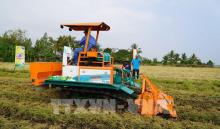 Vietnam moves toward low-emission farming to boost sustainability, exports