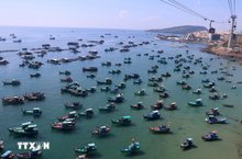 Vietnam cracks down on IUU fishing violations with transparency, strict enforcement