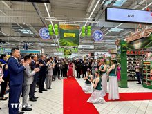 EVFTA spurs economic growth between Vietnam and France
