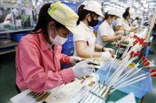 Inside a FDI firm at VSIP Hai Phong Industrial Park in northern city of Hai Phong. (Photo: VNA)