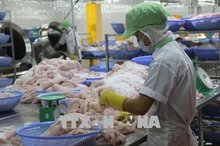 Workers process fish for export. (Photo: VNA)