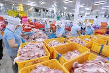 The fishery industry sets an seafood export target of 9.5 billion despite predicting that this industry will continue to face many difficulties in 2024. (Photo:  VNA)