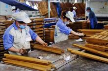 The forestry sector is set to harvest 17.5 billion USD from exports and 23 million cu.m of wood from planted forests in 2024. (Illustrative image) 
