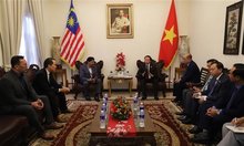 Vietnamese Deputy Prime Minister Tran Hong Ha (R) receives President of the Malaysia–Vietnam Chamber of Commerce (MVCC) Richard Khor (Photo: VNA)