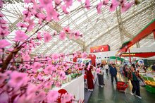 Vietnam's Spring Fair 2026 attracts over 32,000 visitors in two days