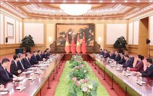 At the talks between State President Luong Cuong and Party General Secretary and President of China Xi Jinping. (Photo: VNA)