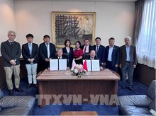 The Vietnam Fisheries Society and Kunihiro Inc signed a Memorandum of Understanding on cooperation in oyster production and processing. (Photo: VNA)