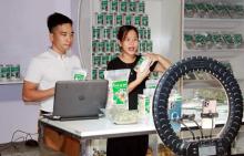 Vietnam, Singapore promote cross-border e-commerce