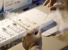 Illustrative image (Photo: VNA)