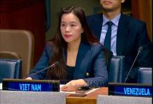 Vietnam prioritises building inclusive, equal, resilient society: diplomat