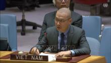 Vietnam renews appeal for immediate ceasefire in Gaza Strip