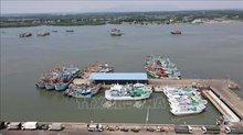 HCM City earmarks over 2.54 million USD for fisheries transition
