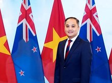 Vietnam, New Zealand ties entering strongest phase: diplomat