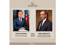 Azerbaijani, Egyptian FMs discuss regional issues over phone